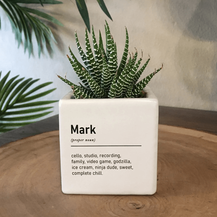 Definition Planter Funny Gift