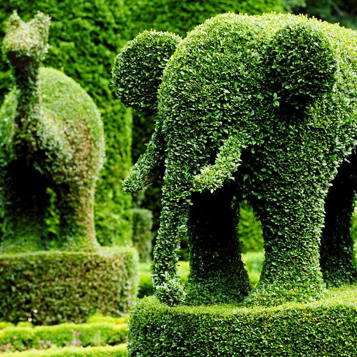 Green Animals Topiary Garden In Portsmouth, Rhode Island