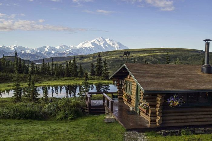 camp denali alaksa