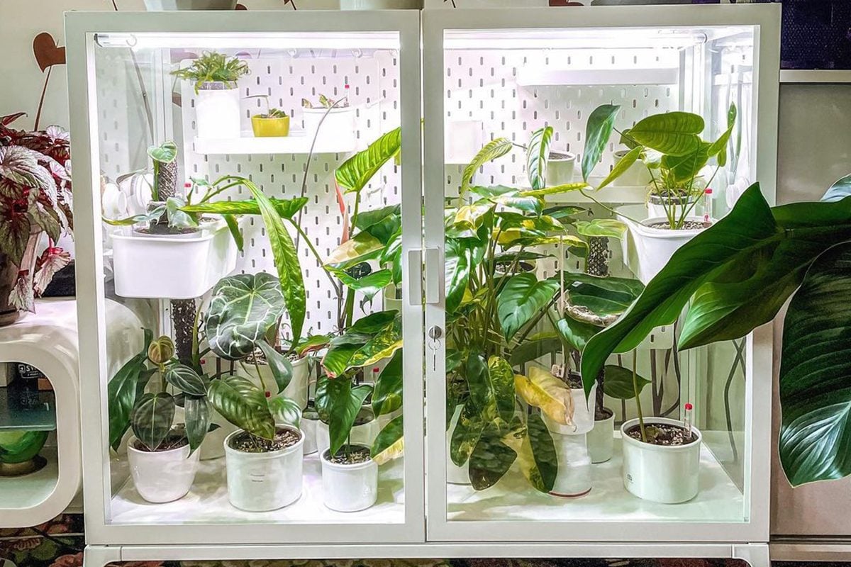 How to Build a Plant Sanctuary with an IKEA Greenhouse Cabinet