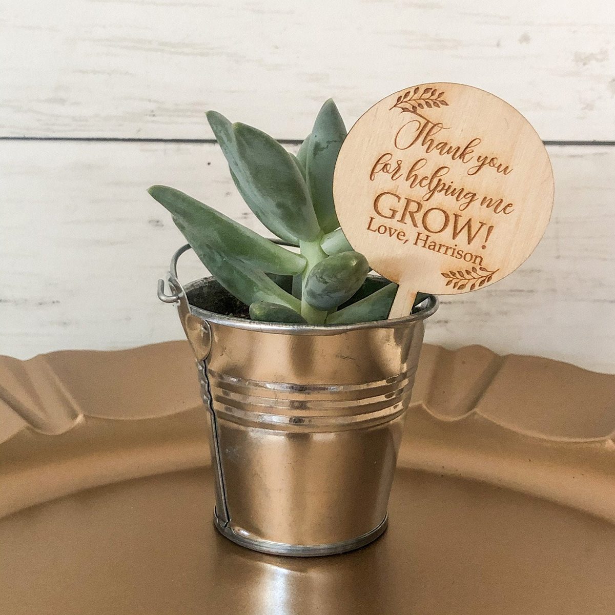 Thank You For Helping Me Grow Succulent Sign Teacher Gift