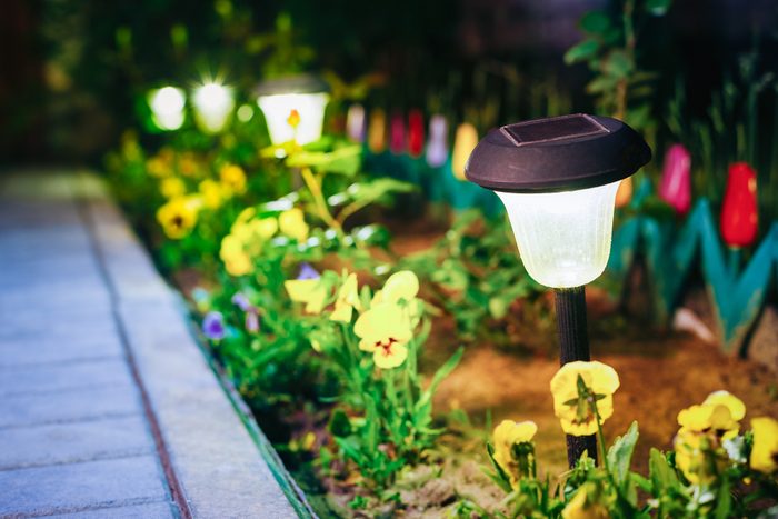 Solar Garden Light, Lanterns In Flower Bed. Garden Solar Powered Lamp