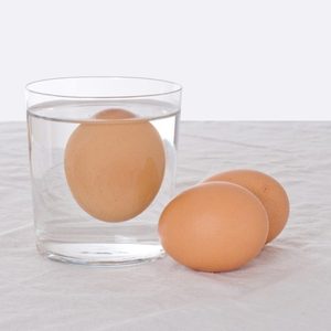 Egg Freshness Test Shutterstock 429271258
