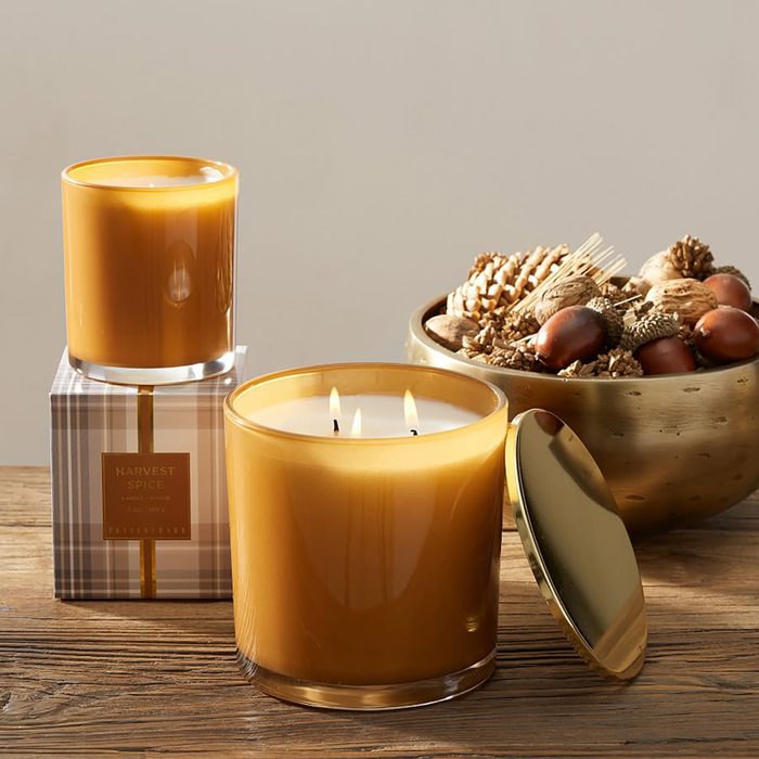 Harvest Spice Scent Collection