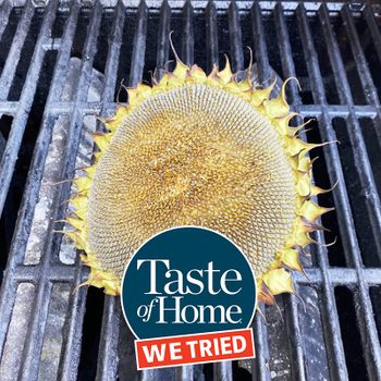 We Tried Treatment on Grilled Sunflower Head