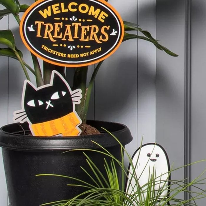 Cat And Ghost Yard Stakes from Target Halloween Decorations Collection