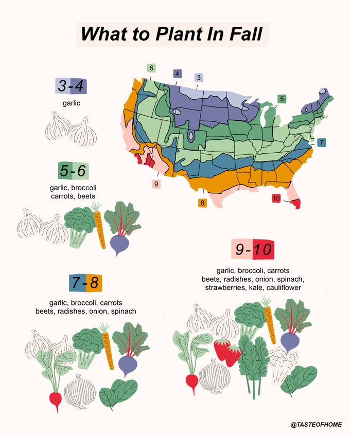 Zone Map of What Vegetables To Plant In Fall