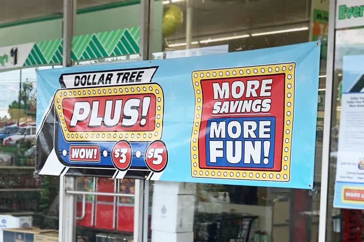 Dollar Tree Plus - What to Know Before You Go!