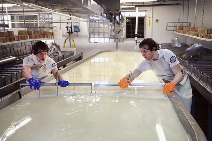 Justin Koch (L) and Trevor Hetzel cuts curds in a vat of Brick cheese at the Widmer's Cheese Cellars on June 27, 2016 in Theresa, Wisconsin.