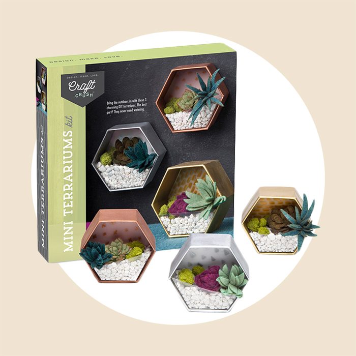 Diy Mini Terrariums Kit