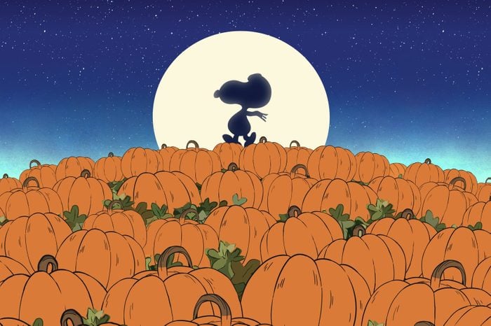 It's The Great Pumpkin Charlie Brown