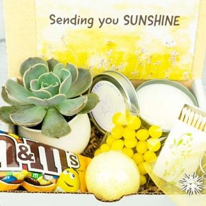 Sunshine Succulent Gift Box