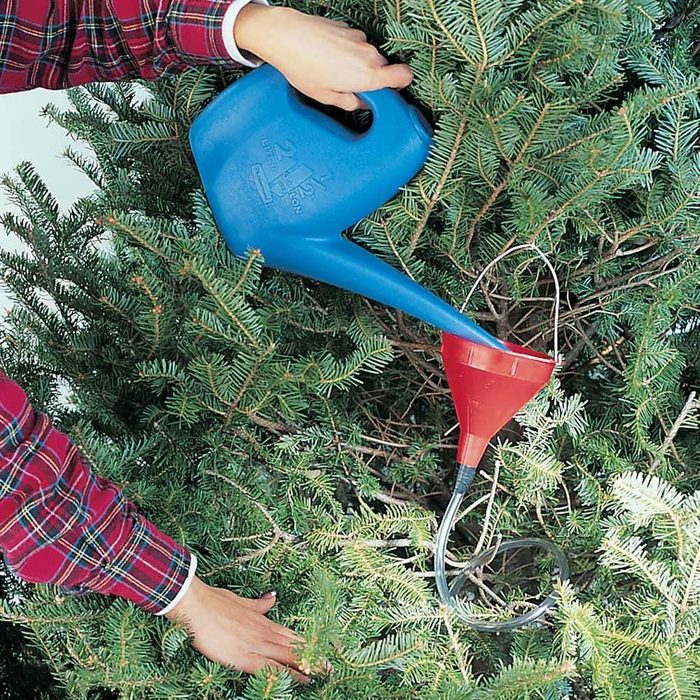christmas tree trick for watering that will save your knees