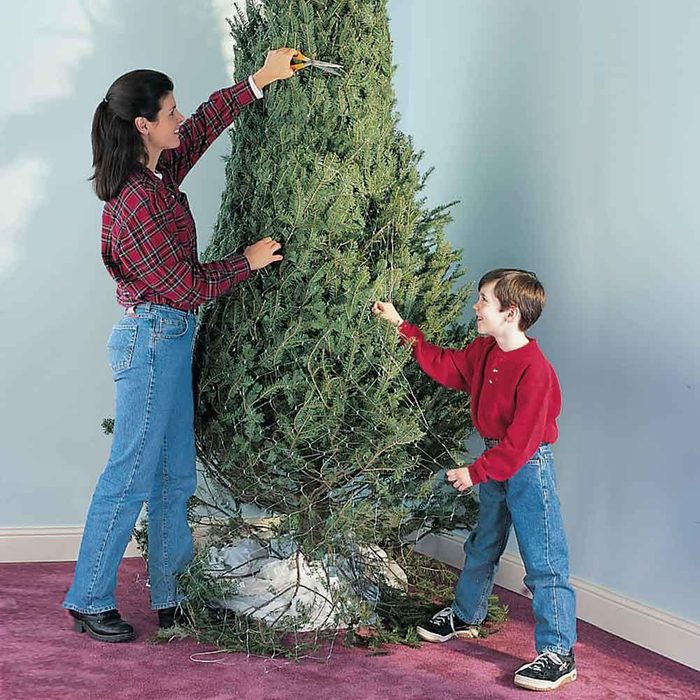 woman cutting off a christmas tree net after the tree has been set up indoors