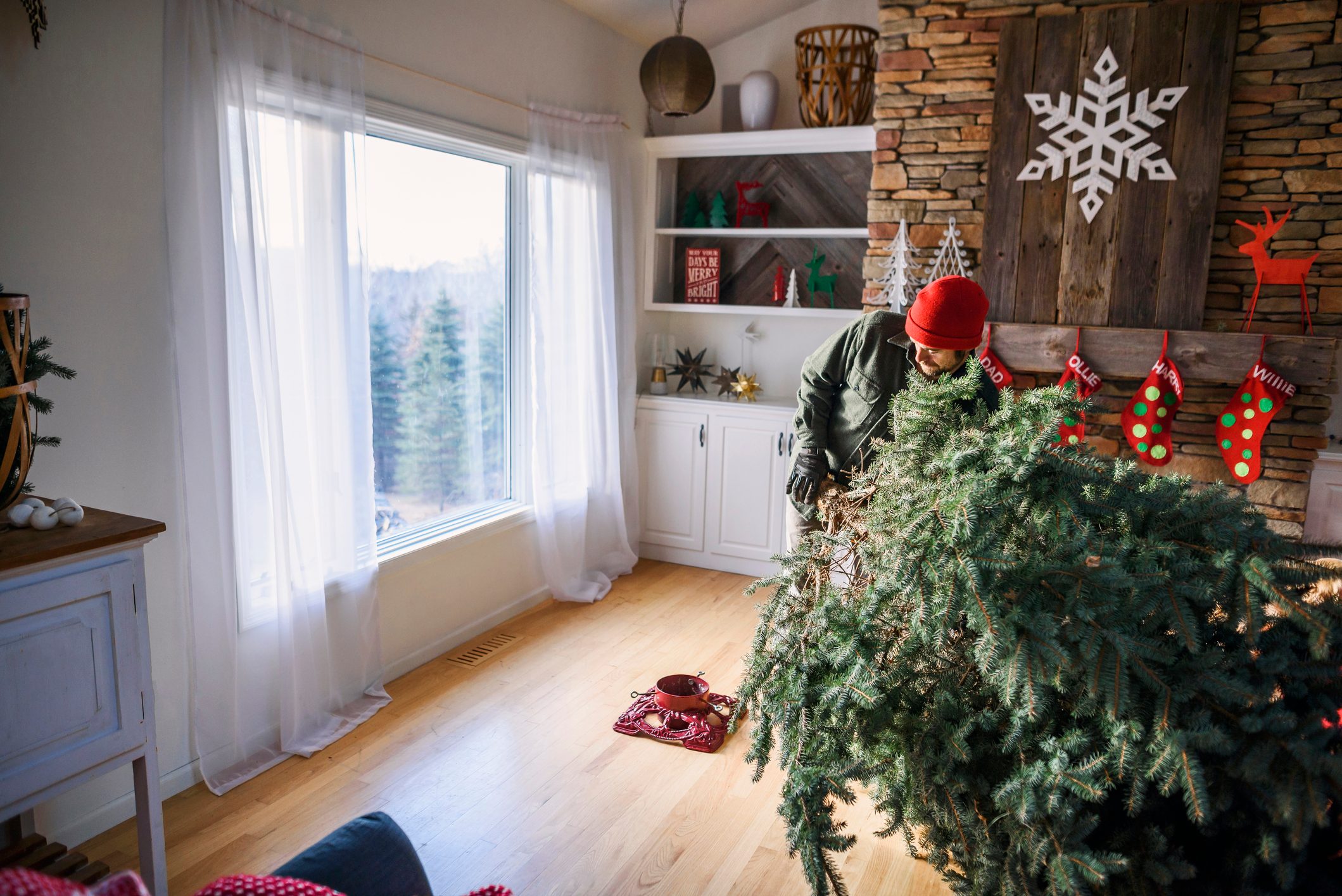 Man setting up a Christmas tree in the living room