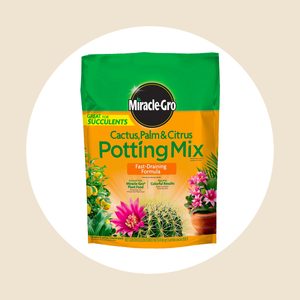 Miracle Gro Potting Currently Northeastern Midwestern