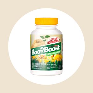 Rootboost
