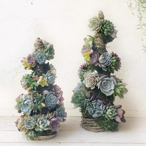 Live Succulents Trim Our Shimmering Grapevine Ecomm Via Etsy.com