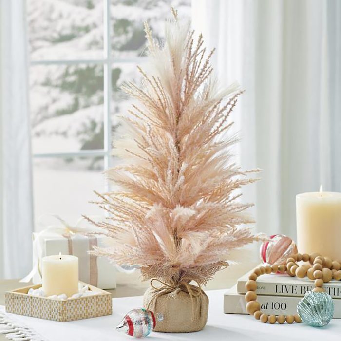 Tabletop Pink Pompas Tree 