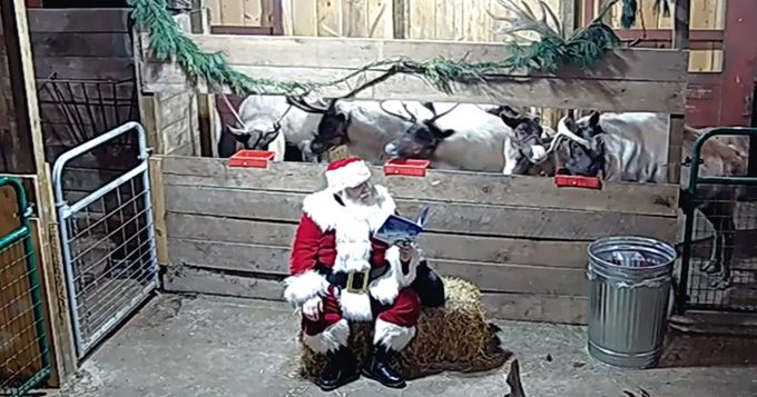 Santa Reading to Reindeer on reindeercam