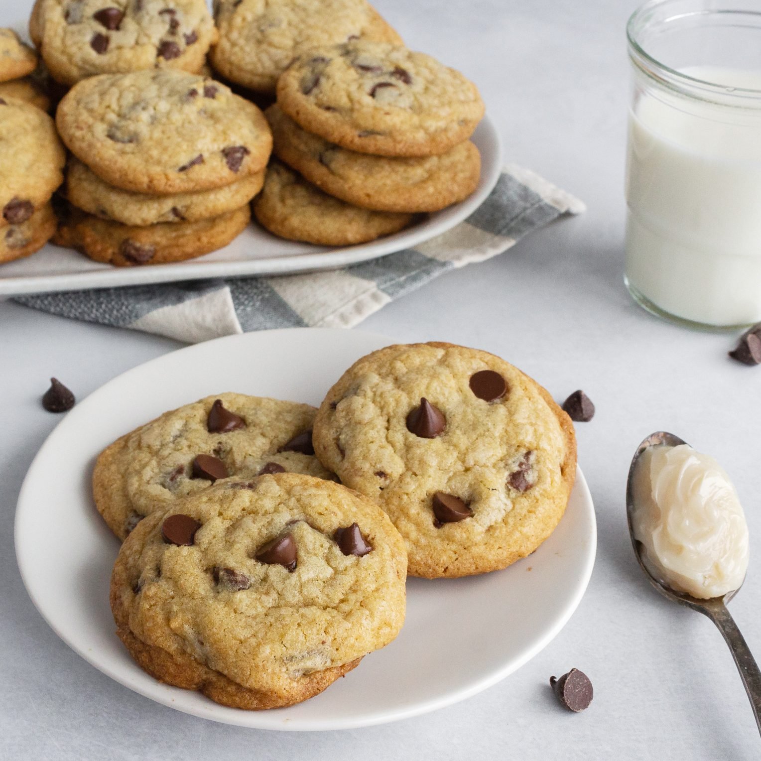 https://www.tasteofhome.com/wp-content/uploads/2022/01/Chocolate-Chip-Cookies-with-Bacon-Grease.TOH_.Nancy-Mock-9-SQ.jpg