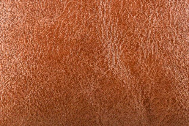 Close-Up Of Brown Leather Sofa after being conditioned
