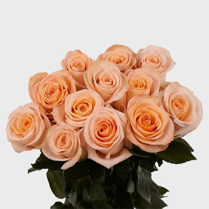 Toh 0 Peach Rose Bouquet Via Globalrose Ecomm