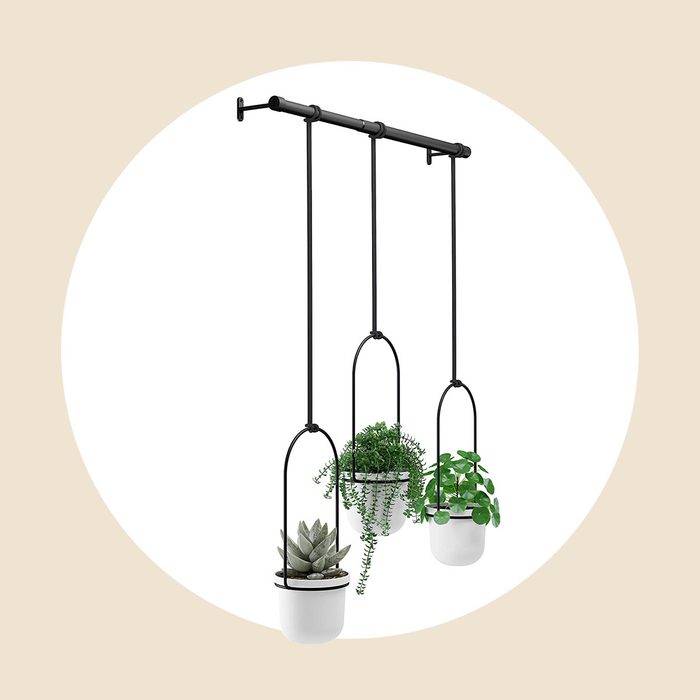  Umbra Triflora Hanging Planter 