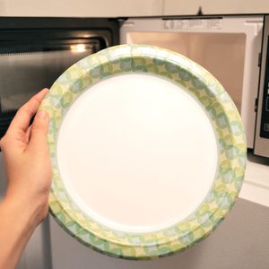 paper plate in front of microwave