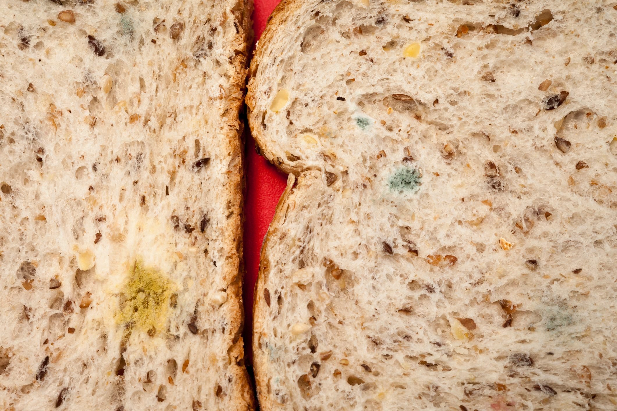 What to do when you see mold on your food