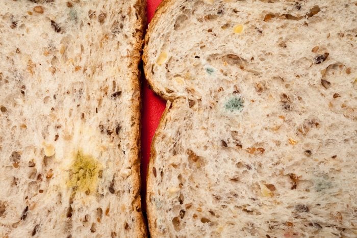 Close-up of mold on two slices of wholegrain bread.