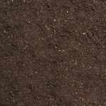 This Is What the Color of Your Garden Soil Means