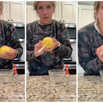 Lemon Juicing Stick Hack Via @JohannaWestbrook TikTok