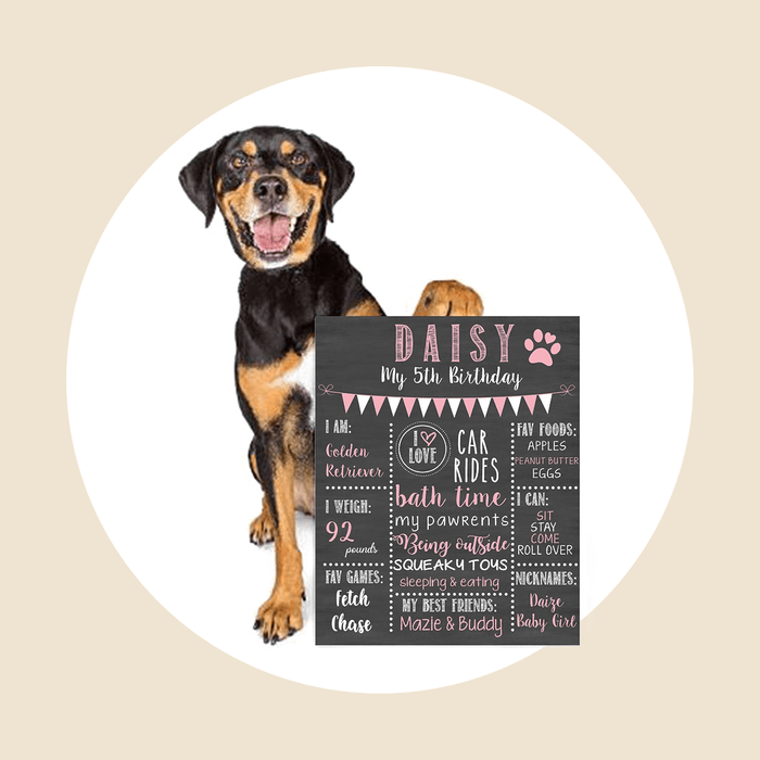 Dog Birthday Chalkboarddog Birthday Signdog Ecomm Via Etsy