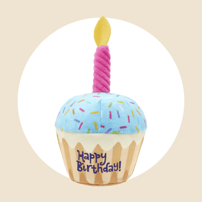 Frisco Plush Birthday Cupcake Ecomm Via Chewy