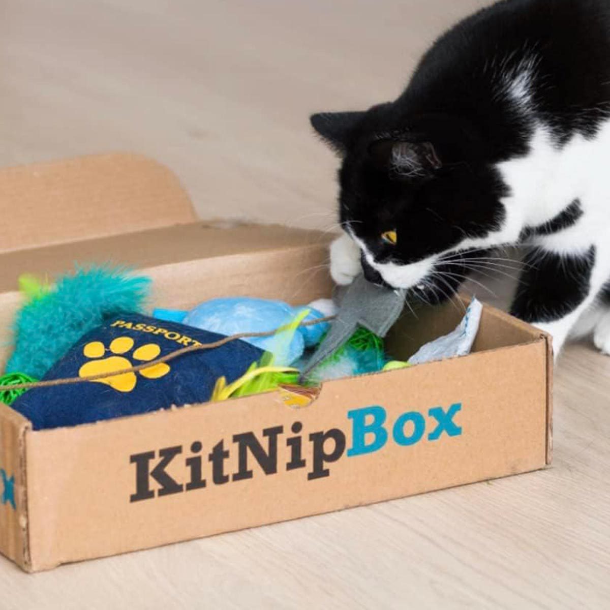 For The Cat Parent Kitnip Cat Box