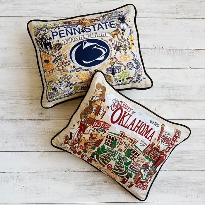 For The New Renter College Town Pillow