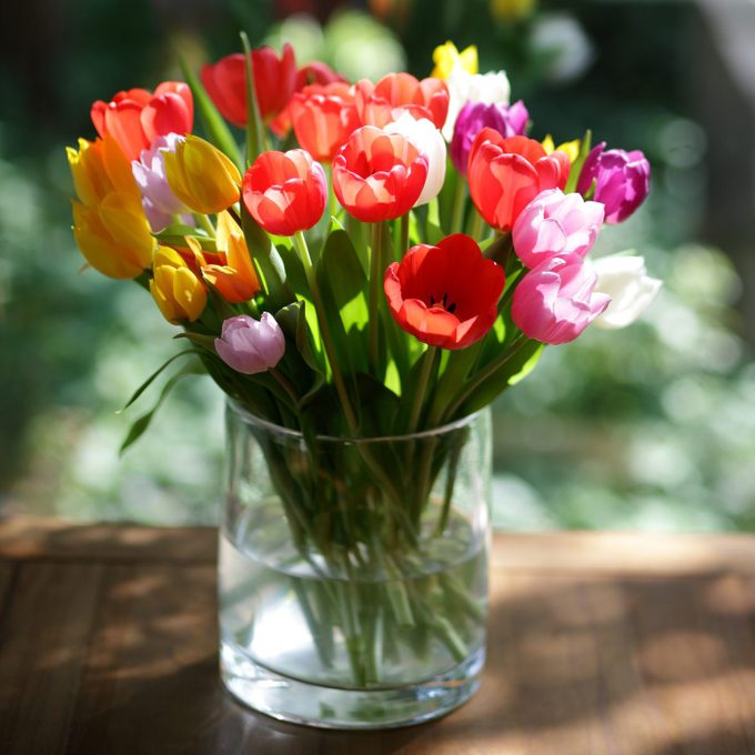 tulips in a cylinder vase