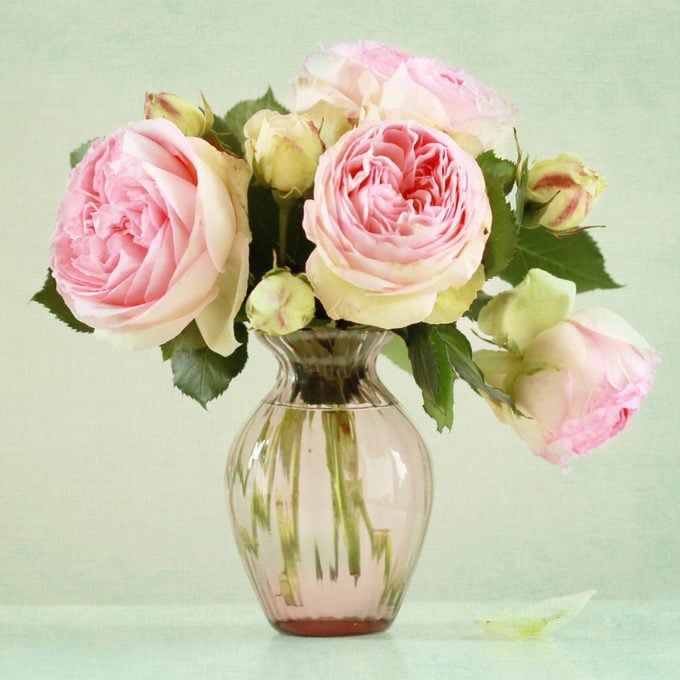 roses in a gathering vase