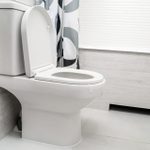 How to Clean a Toilet