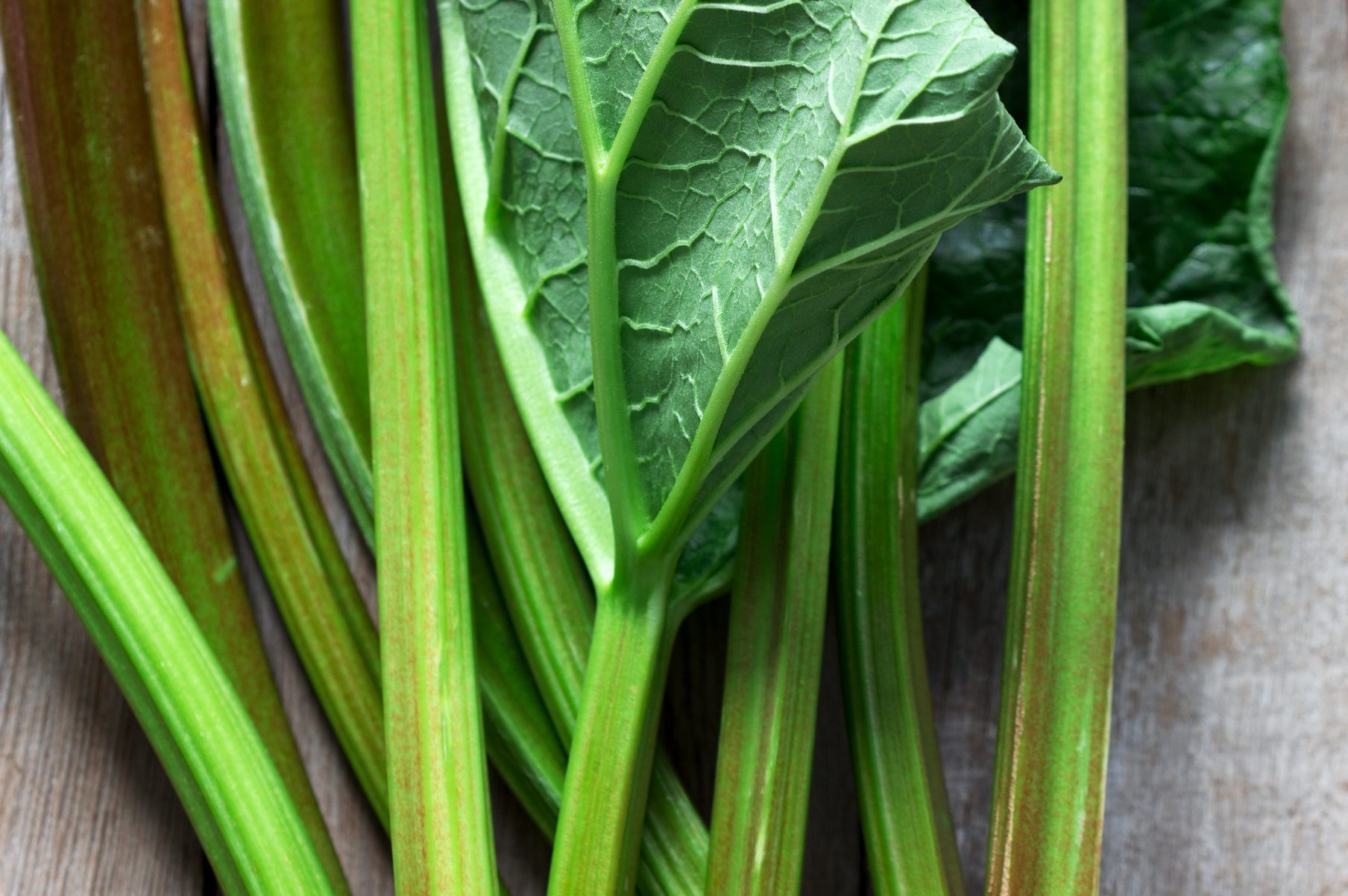 How to Grow Rhubarb in Your Garden | Taste of Home