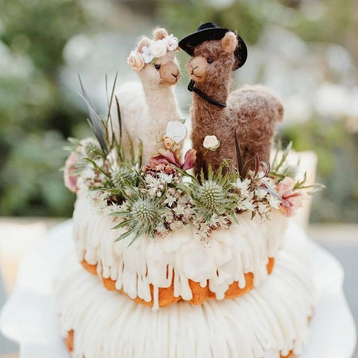 Alpaca Bride And Groom Wedding