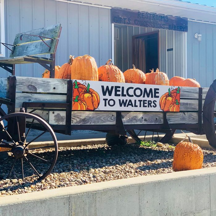 Walters Pumpkin Farm Tour Kansas