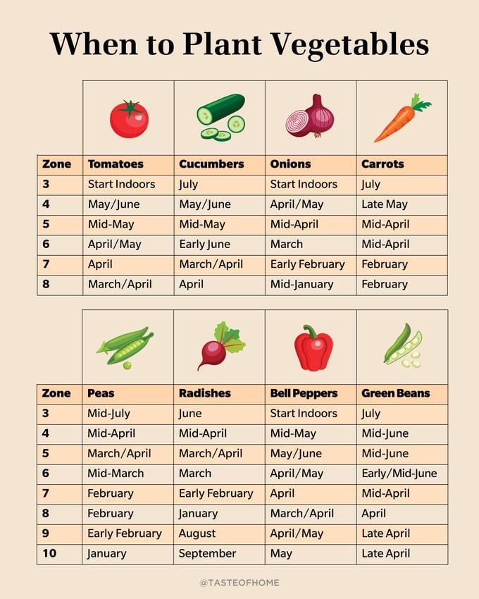 When To Plant Vegetables Graphic Chart