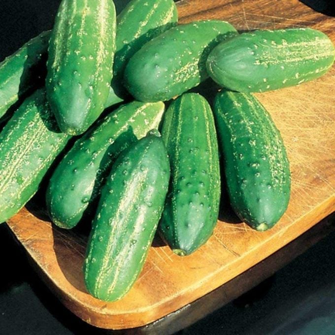Calypso Pickling Cucumber Via Amazon