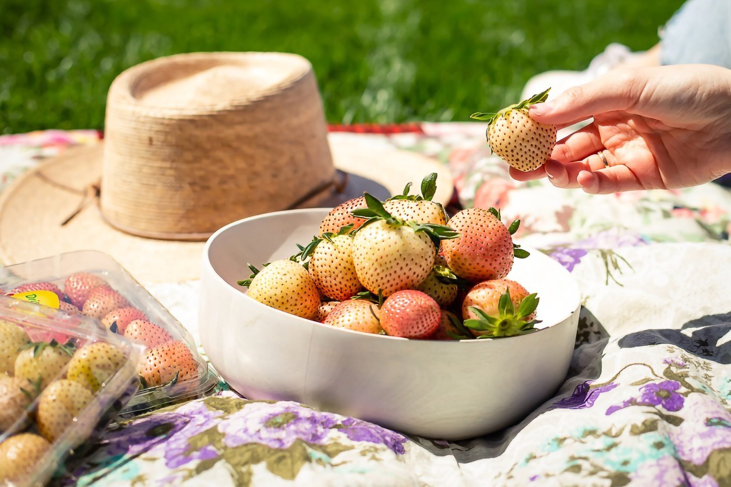 Driscoll's JUST Re-Released Its Rosé Berries—and We're About to Rosé All Day