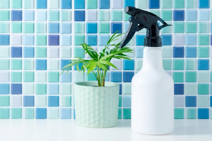 Spray Bottle and small plant with a tile bathroom background