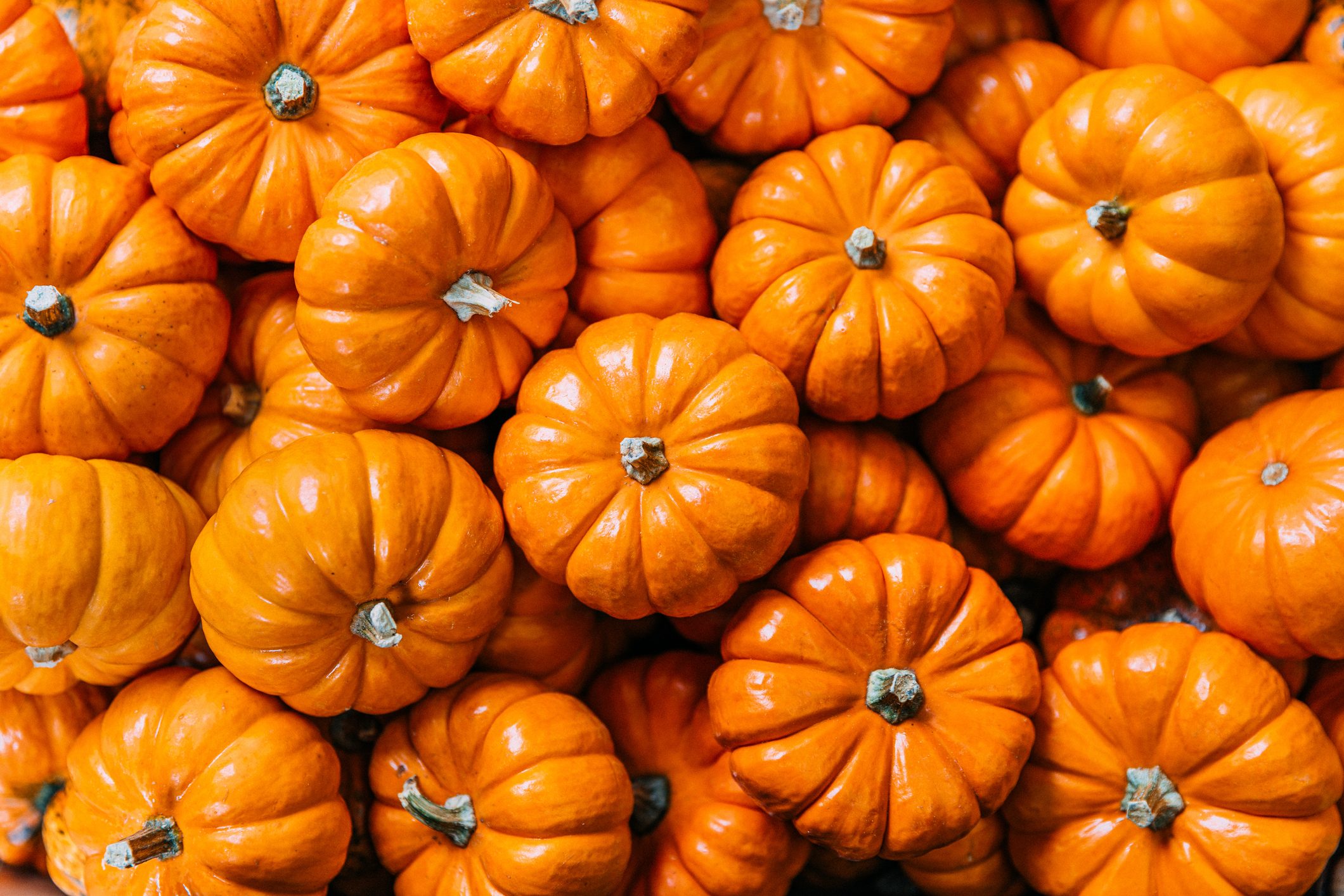Full frame shot of orange pumpkins