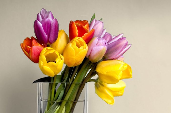 Multicolored tulips in clear square base on gray tabletop