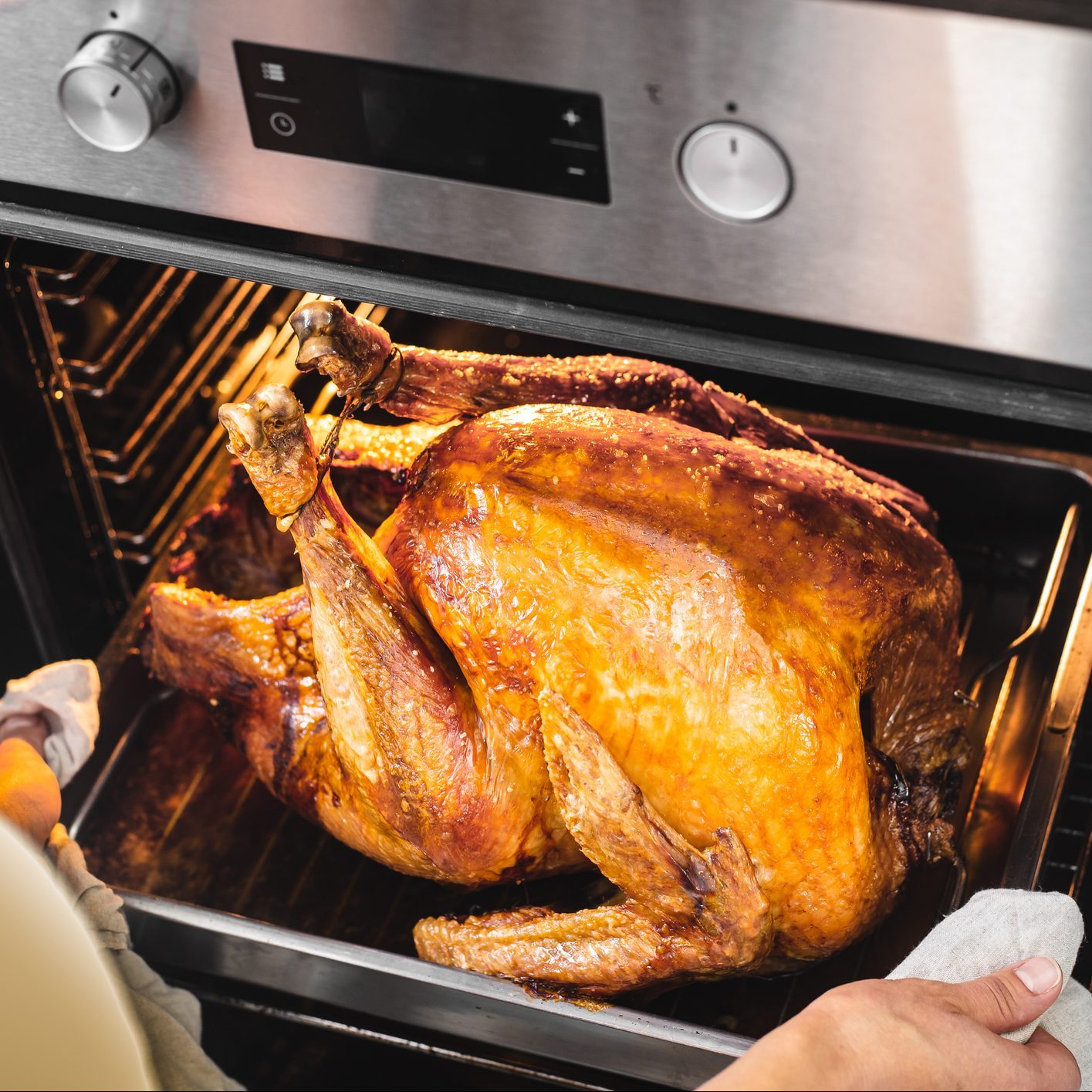 Female preparing traditional Turkey for Thanksgiving dinner in oven